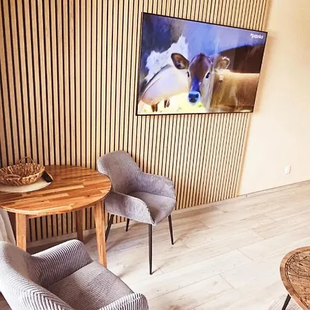 Lejlighed Apartment, Private Garage, Balcony, Smart Check In